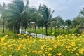 CẦN BÁN LÔ FPT KHU R3 VIEW CÔNG VIÊN - TRỤC THÔNG