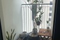 BÁN NHANH CĂN FPT PLAZA 2 ĐẦY ĐỦ NỘI THẤT - SẴN SỔ GIÁ NHỈNH 2 TỶ